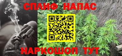 гидра Бузулук