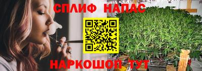 гидра Бузулук