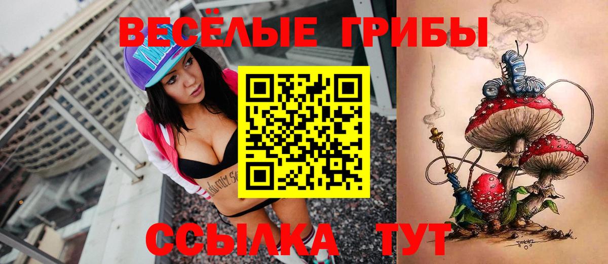 Галлюциногенные грибы мицелий Черемхово